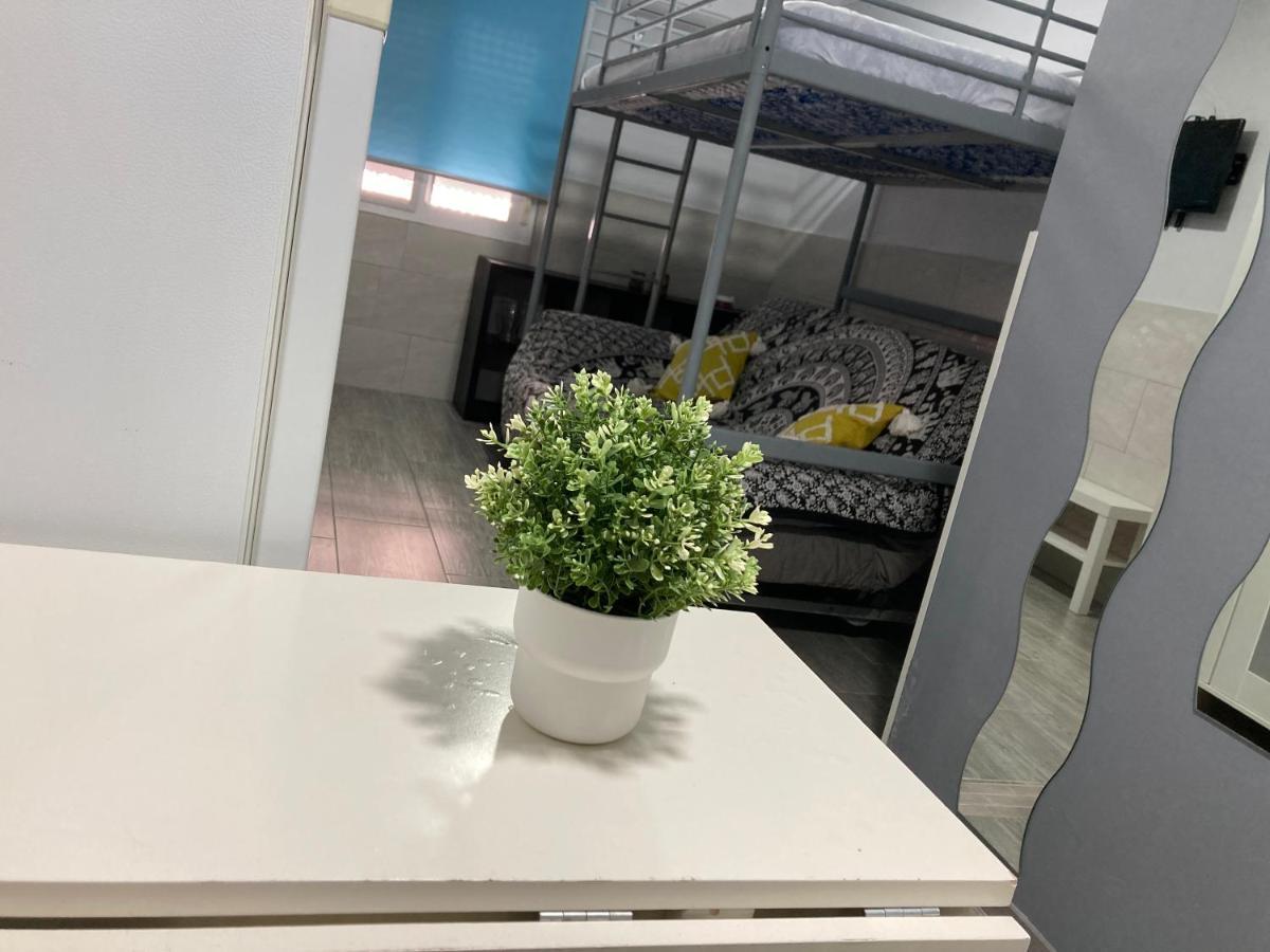 Mutt Apartment
